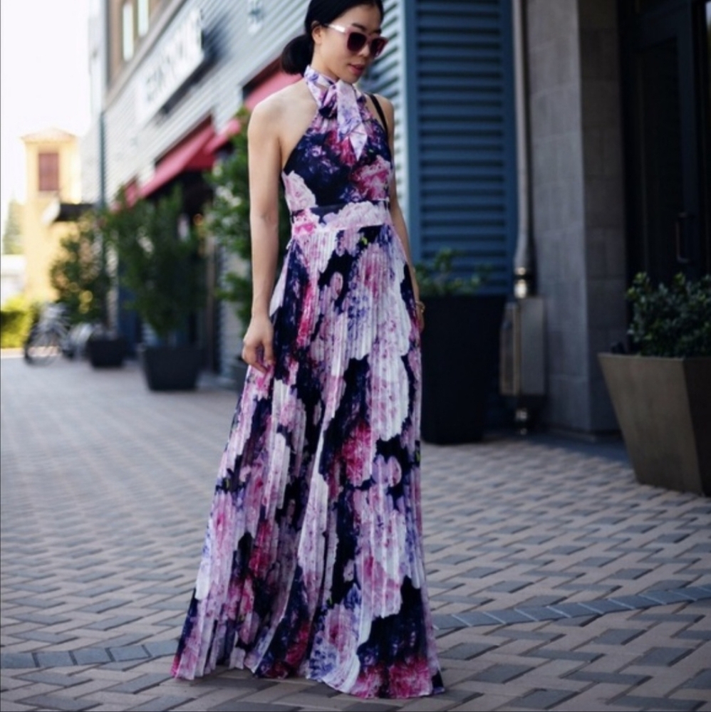 Eliza J Floral Sheer Bohemian Pleated Backless Zip Formal Party Maxi Dre…